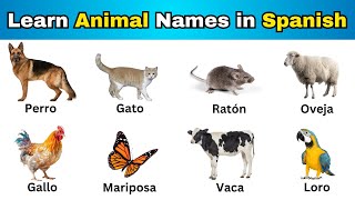 Learn Animal Names in Spanish  Spanish Vocabulary [upl. by Abbott]