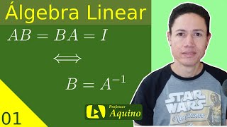 Introdução à Matriz Inversa  01 Álgebra Linear [upl. by Ahseikram]