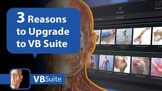 3 Reasons to Upgrade to Visible Body Suite [upl. by Liponis945]