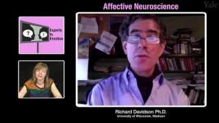 Experts in Emotion 81  Richard Davidson on Affective Neuroscience [upl. by Adnawot]