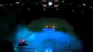 San Jose Sharks home opening playoffs against Nashville [upl. by Gunter508]