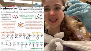 Alanine biochemistry  chirality polarity glucosealanine cycle betalactam antibiotics [upl. by Aicaca]