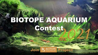 BIOTOPE AQUARIUM CONTEST 2021 [upl. by Attevaj]