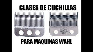 CUCHILLAS PARA MAQUINAS WAHL LUBRICACION Y VIDA UTIL [upl. by Alfi]