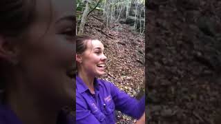 Kiarra spots her first brushtailed rockwallaby [upl. by Ingalls]