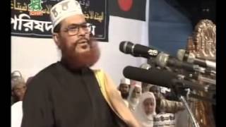 Bangla Jahannamer Voyabahota by Allama Delwar Hussain Sayeedi [upl. by Esertap474]