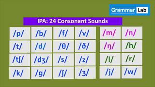 IPA 24 Consonant Sounds [upl. by Kleiman]