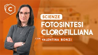 Fotosintesi Clorofilliana  Scienze [upl. by Lanza286]