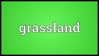 Grassland Meaning [upl. by Attevad]