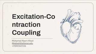 Excitation Contraction Coupling  Mohamed Naem  CVP 112 [upl. by Murrell327]