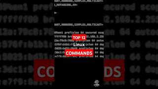 12 MustKnow Linux Networking Commandslinuxcommands linux cybersecurity [upl. by Simmie]