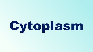 Cytoplasm Definition and Function I Factory Analogy [upl. by Nylia]