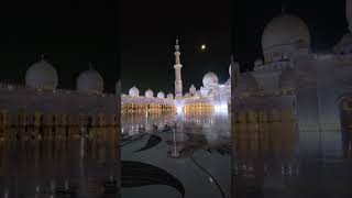 Sheikh Zayed Grand Mosque in AbuDhabi Night View  United Arab Emirates  UAE [upl. by Barty926]