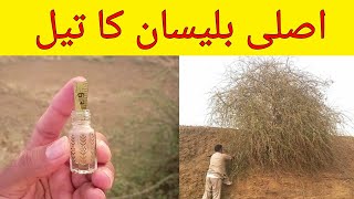 How to Get Real RoghanE Bilsan Oil Asli Roghan Bilisan Tail ki Pehshan aur Nikalne ka tarika [upl. by Elehcin]