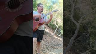 Swallowed bush but on acoustic guitar [upl. by Haig]