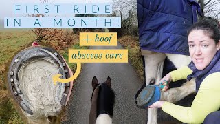 First Ride On My Horse in a Month Plus Hoof Asbcess Care  Riding With Rhi  Equestrian YouTuber [upl. by Gschu]