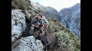 Lambert River Tahr hunt 2024 [upl. by Hoseia]