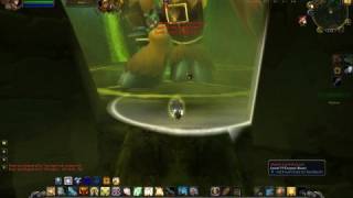 LVL 80 Pally Soloing Doom Lord kazzak BUG [upl. by Godewyn]