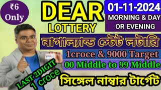 01112024 morning 6pm 8pm Target Number NagalandLottery Sambad LiveLottery Target Number [upl. by Nujra]