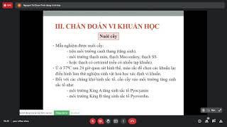 PSEUDOMONAS AERUGINOSA Trực khuẩn mủ xanh  BURKHOLDERIA PSEUDOMALLEI vi sinh  y2 [upl. by Eittel]