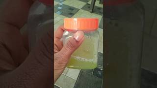 Aloe vera gel preparation at home simpleprocess amaran bgm miniutuber minivlog [upl. by Jecoa]