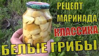 Классический рецепт маринования белых грибов Пошаговая инструкция приготовления маринада с гвоздикой [upl. by Warenne739]