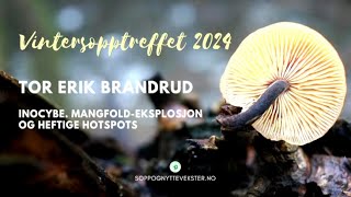 Tor Erik Brandrud Inocybe Mangfold eksplosjon og heftige hotspots Kan noe gjøres med mine trevles [upl. by Kalam]