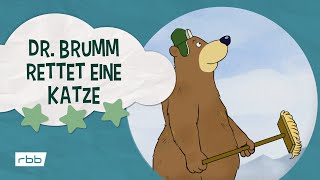 Dr Brumm rettet eine Katze  Unser Sandmännchen [upl. by Nannah131]