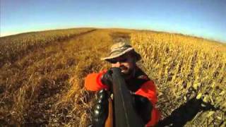 South Dakotas Pheasant Hunt Getaway [upl. by Murrell256]