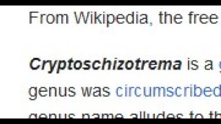 Wikipedia is incomprehensible [upl. by Rubliw]