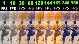 Fortnite 1fps vs 10fps vs 30fps vs 60fps vs 120fps vs 144fps vs 165fps vs 240fps vs 360fps [upl. by Mick]