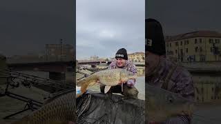 URBAN FISHING carpfishing fishing carp fish [upl. by Sass]