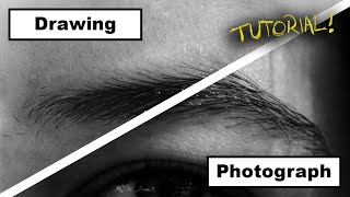 How to Draw a Hyper Realistic Eyebrow EASY StepbyStep [upl. by Dixon]