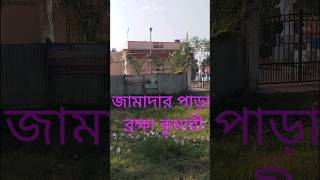 ব্রক্ষা কুমারী quotপাঙ্গা বরতলা quotজামাদার পারা গেদের খুচরা।।mondir pangabrtola gamadarpara [upl. by Suanne]