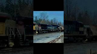 Awesome and rare find at Hardy road surprise catch train unionpacific southernpacific [upl. by Oaht]