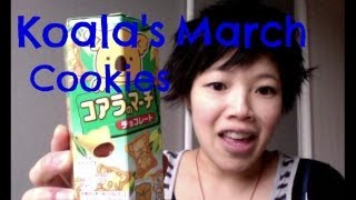 Koalas March Cookies vs Koala Kakao  Whatcha Eating 55 [upl. by Aerdnahc710]