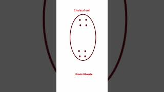 Development of female gametophyte  Embryosac  Pravin Bhosale [upl. by Aiyot526]