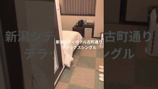 新潟シティホテルと周辺グルメ Niigata city hotel and gourmet [upl. by Relyhs]