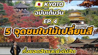 🇯🇵เที่ยว KYOTO ฉบับเต็มวัน EP 4 รวมจุดชมใบไม้เปลี่ยนสีในเกียวโต ทั้งจุดยอดฮิตและยังไม่ฮิต [upl. by Oijimer]