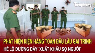 Phát hiện kiện hàng kinh hoàng tại sân bay hé lộ đường dây ‘xuất khẩu sọ người’  Hồ Sơ Vụ Án [upl. by Adnohrahs]