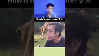 Try Not to Laugh Challenge 135🤣 funny shorts viral [upl. by Aiam]