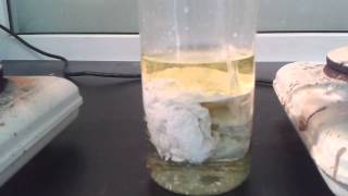 High concentration silver nitrate and Hydrochloric acid [upl. by Brewer]