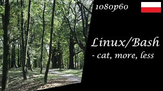 LinuxBash wypisywanie zawartości plików  komendy cat more less [upl. by Ladnek999]