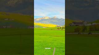 Appenzell St Gallen swisslandscape switzerland travel [upl. by Enohpets413]