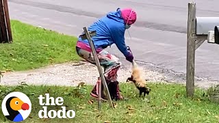 Dad Has Best Reaction To Daughter Rescuing Skunk  The Dodo [upl. by Cinemod936]