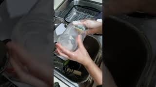 dishwashing cleaning cooking dishwash dishwasher asmr asmrsounds water [upl. by Nonnahc]