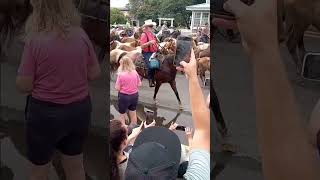 Chincoteague Pony Parade wild horse video pony parade Chincoteague wildhorses [upl. by Triley]