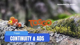 Toggo  Continuity amp Ads July 24 2024 [upl. by Dnamron]