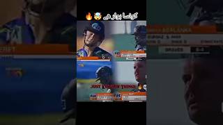 wickets shortsytshortsvideo amir amirwicketsfastbowler trendingshorts [upl. by Ynaiffit]