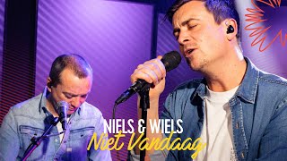 Niels amp Wiels  Niet Vandaag  Live bij Q [upl. by Ahseele]